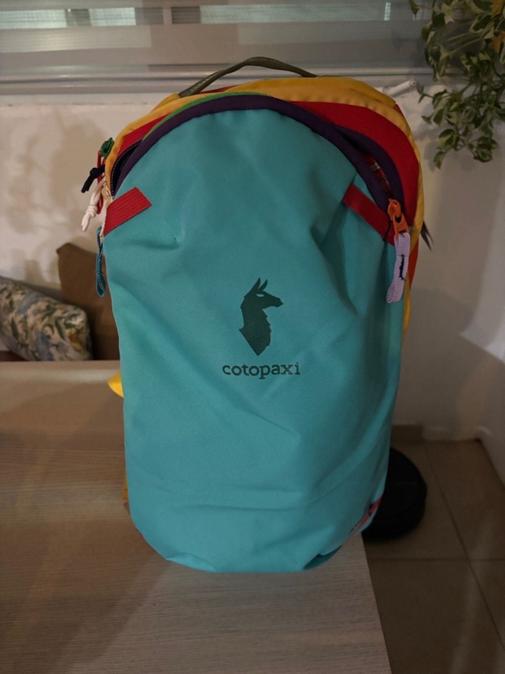cotopaxi Allpa20 Backpack in Turquoise, Yellow, Red, Purple - Picture 2 of 5